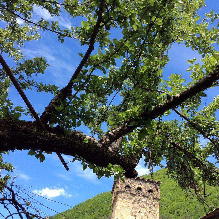 Guest House Chuta In Lagami Μέστια Εξωτερικό φωτογραφία
